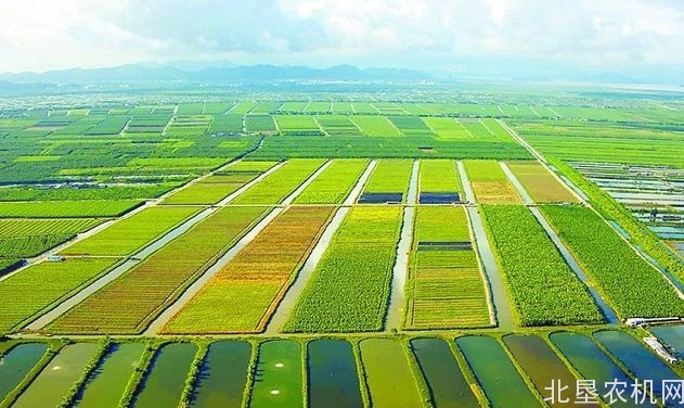 湖北省与古巴在生物技术和农业领域展开合作