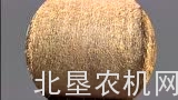 道依茨法尔GP 2.30圆捆机