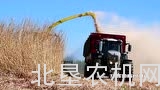 黑龙江统筹10亿元实施亿亩秸秆还田行动