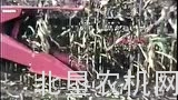 1980年道依茨法尔青贮收获机作业视频