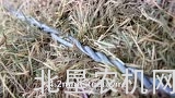 沃尔沃BM 810拖拉机配Vicon HP 1600打捆机作业