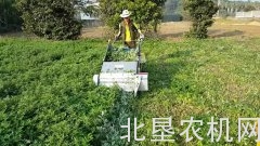 好消息！购买茎叶类蔬菜收获机也能享受补贴
