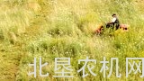 井关CMX 227小型割草机