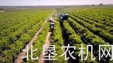 纽荷兰葡萄收获机械介绍