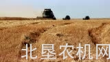 罗斯托夫VECTOR收割机