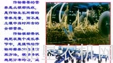北垦农机学苑——农业机械化发展与保护性耕作技术装备