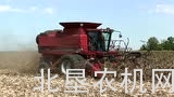 收获机简单改装，收获倒伏玉米还不错