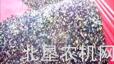 博格公司V Track Raccolta橄榄收获机