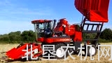 布光公司BH7100青刀豆收获机