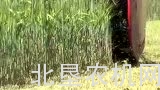 购买农机时擦亮眼，“超便宜”的可能是问题农机！