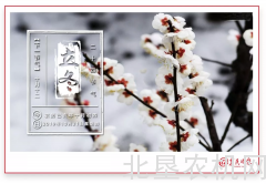 农业农村部推进农机化转型升级成果发布，涵盖这些主要农作物