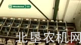 麦迪玛根茎作物智能分级设备