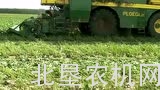 Ploeger公司BP2100豌豆收获机