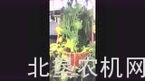 西蒙公司S3S胡萝卜收获机日本演示一