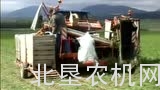西蒙公司PSUPS CF胡萝卜起收机