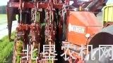 西蒙（SIMON）牵引式3行胡萝卜收获机
