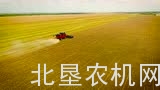  versatile公司RT490收获机在德克萨斯州作业