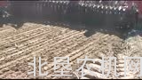 百利灵公司（Brillion）3630型折叠耕耘机