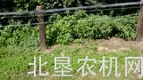 东洋拖拉机配小型剪草机