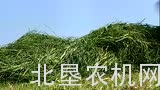 博田牧草加工设备介绍