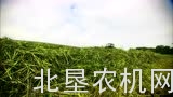 博田TOP C系列旋转搂草机介绍