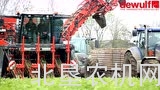 迪沃夫ZKIV自走收获机收获欧芹根茎