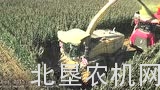荷马Terra Variant 600型多功能底盘车