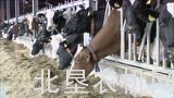 库恩MC系列背负式青贮饲料机