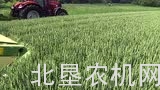 科罗尼BiG X系列青贮机