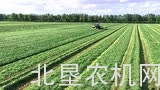 科罗尼Premos 5000秸秆颗粒饲料机