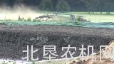 格立莫甜菜处理设备