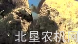 雷肯Kristall深松机介绍