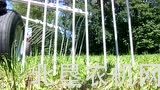 博田TOP722搂草机调整操作