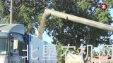 ZAFFRANI公司葵花专用割台(带底刀)