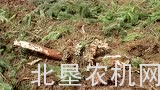 贝松VSL系列重体圆盘耙