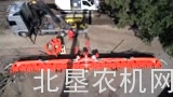 冠军20行玉米青贮割台