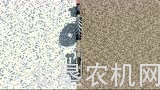 豪狮Pronto 12SW系列条播机