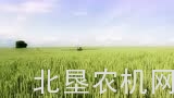 豪狮Leeb PT 270自走式喷药机