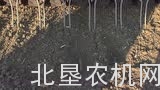 豪狮Sprinter8SW条播机
