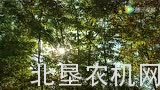 凯斯拖拉机牵引激光平地机