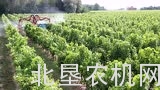 马斯奇奥AIRDROP系列田园用喷雾机