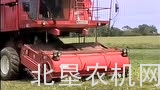 三台FMC979收获机收获豌豆