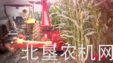 JUMIL公司企业年终汇总