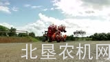 马斯奇奥CONTE大型气力式点播机