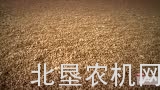 马斯奇奥CORONA系列联合播种机