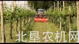马斯奇奥TIGRE系列秸秆粉碎机