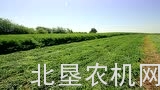 用户选择威猛割草压扁机的理由