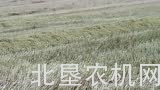 世界纪录——249台收割机共同作业