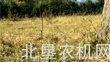 庄稼汉TR270C3割草机