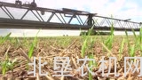豪狮Leeb GS牵引式喷药机